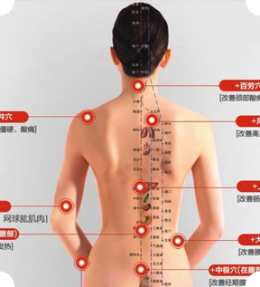 描述